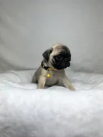 processed/24c3a5bd-eeac-4723-b3e2-94c8c20bc724/listing/c2b7b226-be3d-42ef-9922-860c6411bdc1/f7ac0a6b-dc34-4247-94b7-dbf5598718ad