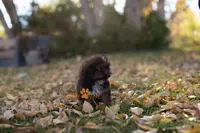 processed/24cb7ce4-d264-4fd8-92ba-ed84e45e95af/listing/79eda5d1-b3f1-4077-ae69-bbe0843316dd/07efe8c1-806f-4099-a3dd-f09bb6d501ac