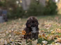 processed/24cb7ce4-d264-4fd8-92ba-ed84e45e95af/listing/79eda5d1-b3f1-4077-ae69-bbe0843316dd/1212de6e-3fd0-4a13-918f-0c5a7a29c2e8