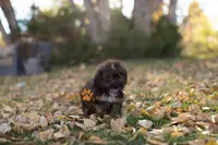 processed/24cb7ce4-d264-4fd8-92ba-ed84e45e95af/listing/79eda5d1-b3f1-4077-ae69-bbe0843316dd/41d85459-61bb-4d11-b741-18878ab70c52