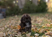 processed/24cb7ce4-d264-4fd8-92ba-ed84e45e95af/listing/79eda5d1-b3f1-4077-ae69-bbe0843316dd/74bf1927-fbe1-4ea0-9493-821d2f60edd8