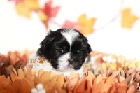 processed/24cb7ce4-d264-4fd8-92ba-ed84e45e95af/listing/96b2f6fb-5f75-48ca-9a26-55b9f3c25552/2989d083-075d-4740-b9f2-b7210f4b130f