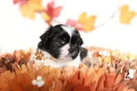 processed/24cb7ce4-d264-4fd8-92ba-ed84e45e95af/listing/96b2f6fb-5f75-48ca-9a26-55b9f3c25552/7e985a76-e029-4ca3-afb8-ee31db44e1b7