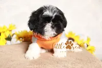 processed/24cb7ce4-d264-4fd8-92ba-ed84e45e95af/listing/96b2f6fb-5f75-48ca-9a26-55b9f3c25552/bc737b35-dbf3-4dc7-91fc-4c371d52bf2a