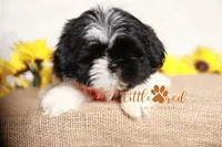 processed/24cb7ce4-d264-4fd8-92ba-ed84e45e95af/listing/96b2f6fb-5f75-48ca-9a26-55b9f3c25552/bfc1a57b-db7f-46d0-8fb6-512d1e8b1b29