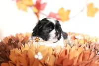 processed/24cb7ce4-d264-4fd8-92ba-ed84e45e95af/listing/96b2f6fb-5f75-48ca-9a26-55b9f3c25552/c9b9ad60-4d4e-4e85-ad50-5859c821a530