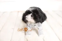 processed/24cb7ce4-d264-4fd8-92ba-ed84e45e95af/listing/96b2f6fb-5f75-48ca-9a26-55b9f3c25552/e3c0710c-69bd-4692-aec2-0e9ea84cfed6