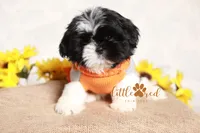 processed/24cb7ce4-d264-4fd8-92ba-ed84e45e95af/listing/96b2f6fb-5f75-48ca-9a26-55b9f3c25552/f5412f74-2088-4ba2-b762-b90e7f30cc4a