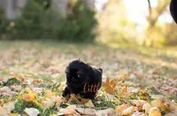 processed/24cb7ce4-d264-4fd8-92ba-ed84e45e95af/listing/9d027f0c-2df9-4719-bfb4-20a0a7b504f5/323d6464-22a1-42ec-a431-57ebdd6e7cf9