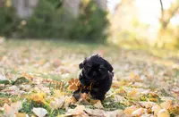 processed/24cb7ce4-d264-4fd8-92ba-ed84e45e95af/listing/9d027f0c-2df9-4719-bfb4-20a0a7b504f5/ceceb05f-1c9d-48e4-a7cf-fa6a76694f86