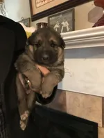 processed/24cc6f7b-f78f-470e-88e2-a3c502f417ff/facility/2c216471-b326-4a8b-8056-1f97ad617de9