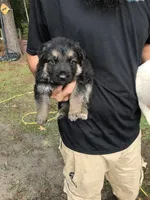 processed/24cc6f7b-f78f-470e-88e2-a3c502f417ff/facility/57801b28-0ee3-4357-90c3-e901dea1f004