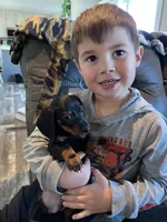 processed/24cc6f7b-f78f-470e-88e2-a3c502f417ff/facility/6557d4ab-9d37-4886-ba74-a9d4ccec88a4