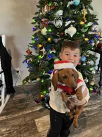 processed/24cc6f7b-f78f-470e-88e2-a3c502f417ff/facility/d9ba497b-5e74-4334-8580-2462c28c4bec