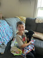 Bonnie, a female Scottish Terrier for sale in Whiteville, NC – 1 of 1