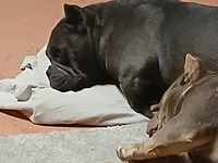 processed/24da1d72-fd09-47c7-b6b5-401b6922519d/listing/628ace8b-90e1-4831-9224-c4293009871f/107af84b-0bfa-4c6d-9b77-ef8dbecfbfbd