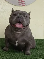 processed/24da1d72-fd09-47c7-b6b5-401b6922519d/listing/628ace8b-90e1-4831-9224-c4293009871f/2f078df3-be0d-42a8-a4e6-23ea62610cd3