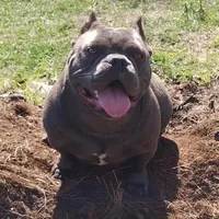 processed/24da1d72-fd09-47c7-b6b5-401b6922519d/listing/628ace8b-90e1-4831-9224-c4293009871f/a144d6b4-e0cf-43b7-b2ad-229acf475d93