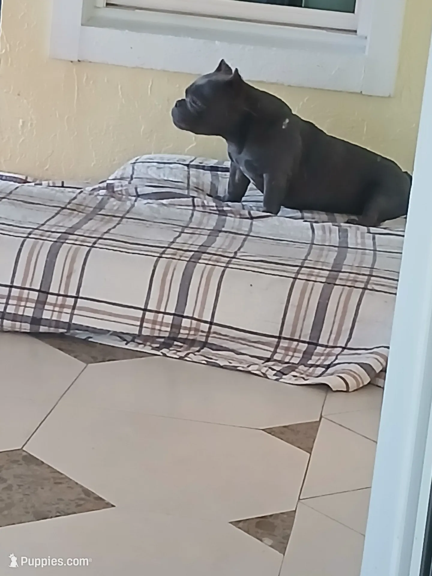 processed/24da1d72-fd09-47c7-b6b5-401b6922519d/listing/628ace8b-90e1-4831-9224-c4293009871f/b085f2fa-5b05-4894-ad50-60927b9c93d5