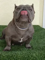 processed/24da1d72-fd09-47c7-b6b5-401b6922519d/listing/628ace8b-90e1-4831-9224-c4293009871f/d397832c-51af-4d7d-8105-344e85e1143d