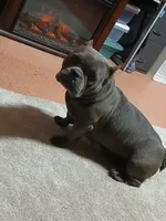 processed/24da1d72-fd09-47c7-b6b5-401b6922519d/listing/628ace8b-90e1-4831-9224-c4293009871f/de4c2f32-97aa-4a28-b0e7-10e36bde077e