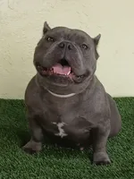 processed/24da1d72-fd09-47c7-b6b5-401b6922519d/listing/628ace8b-90e1-4831-9224-c4293009871f/ee42600a-ce0a-48ac-844b-6d5db729ea0c