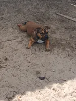 processed/24da1d72-fd09-47c7-b6b5-401b6922519d/listing/b162c57c-f242-4184-afff-e24676a93c18/58b6081d-67bd-4261-b5dd-9c225b2b8779