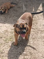 processed/24da1d72-fd09-47c7-b6b5-401b6922519d/listing/b162c57c-f242-4184-afff-e24676a93c18/aea1366e-c763-4c5b-a36b-d4ed7e11da5f