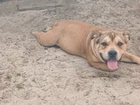 processed/24da1d72-fd09-47c7-b6b5-401b6922519d/listing/e4ca421e-df1d-4140-baab-30f2450d3617/044ce80b-4fd3-478a-9c46-1ad5b8d6644e