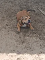 processed/24da1d72-fd09-47c7-b6b5-401b6922519d/listing/e4ca421e-df1d-4140-baab-30f2450d3617/7cb0252e-d68c-45c2-b82e-52ef4da6eda8