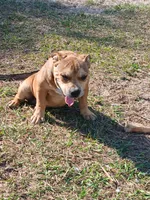 processed/24da1d72-fd09-47c7-b6b5-401b6922519d/listing/e4ca421e-df1d-4140-baab-30f2450d3617/a48f41c1-96a2-4f61-ac01-829ce0a9424a