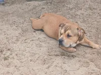 processed/24da1d72-fd09-47c7-b6b5-401b6922519d/listing/e4ca421e-df1d-4140-baab-30f2450d3617/b24d94e7-12a1-4dbb-8536-48b45bc327c4