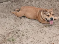 processed/24da1d72-fd09-47c7-b6b5-401b6922519d/listing/e4ca421e-df1d-4140-baab-30f2450d3617/cf3493aa-9669-46ea-a547-f71cca59bbf0