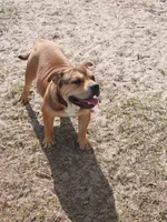 processed/24da1d72-fd09-47c7-b6b5-401b6922519d/listing/e4ca421e-df1d-4140-baab-30f2450d3617/db30fb4a-2c30-47f0-87cb-e92675a3fb6f