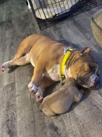 processed/24da1d72-fd09-47c7-b6b5-401b6922519d/listing/fb160b0a-ad99-4fa3-9c27-5bee7b054ee5/1aa505b6-ab83-48d8-b0c0-75aa6725a031