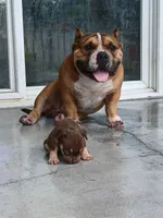 processed/24da1d72-fd09-47c7-b6b5-401b6922519d/listing/fb160b0a-ad99-4fa3-9c27-5bee7b054ee5/ac1ba3cd-89e6-442e-bab4-0b1ebc2d1454