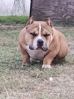 processed/24da1d72-fd09-47c7-b6b5-401b6922519d/listing/fb160b0a-ad99-4fa3-9c27-5bee7b054ee5/c7b862ae-91c6-4368-a5f5-a4564f344e9e