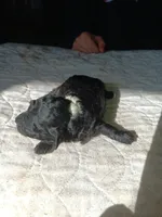 processed/24dbba63-a86f-48da-9504-d2dc9a910e26/listing/c515e684-3c85-4f97-9aa3-465db9836b0e/08200c2c-fea7-4f7d-9f66-721657f1afda