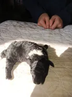 processed/24dbba63-a86f-48da-9504-d2dc9a910e26/listing/c515e684-3c85-4f97-9aa3-465db9836b0e/45d76381-9f3d-475b-9170-92595161c24c