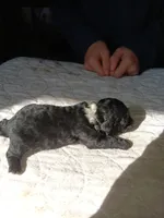 processed/24dbba63-a86f-48da-9504-d2dc9a910e26/listing/c515e684-3c85-4f97-9aa3-465db9836b0e/4bc5bae0-79bc-44ed-9747-24f0208ae66e