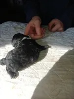 processed/24dbba63-a86f-48da-9504-d2dc9a910e26/listing/c515e684-3c85-4f97-9aa3-465db9836b0e/7983a9db-9bba-4985-86c5-8ac532245491