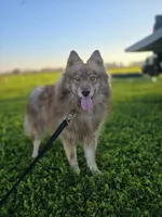 processed/24dd2470-7bd7-498a-abac-3c2dc0f10f39/listing/cdeb88db-4b57-41bb-9dfe-a6dbde6a8b43/5ce171d8-b949-40fc-9995-1cd648c44593