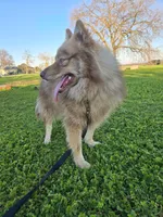 processed/24dd2470-7bd7-498a-abac-3c2dc0f10f39/listing/cdeb88db-4b57-41bb-9dfe-a6dbde6a8b43/6c70b4ab-d68f-48dd-9b09-e83f5a94d182