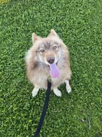 processed/24dd2470-7bd7-498a-abac-3c2dc0f10f39/listing/cdeb88db-4b57-41bb-9dfe-a6dbde6a8b43/78e2d6ce-8313-47d9-b8f9-f27f847dfa9b