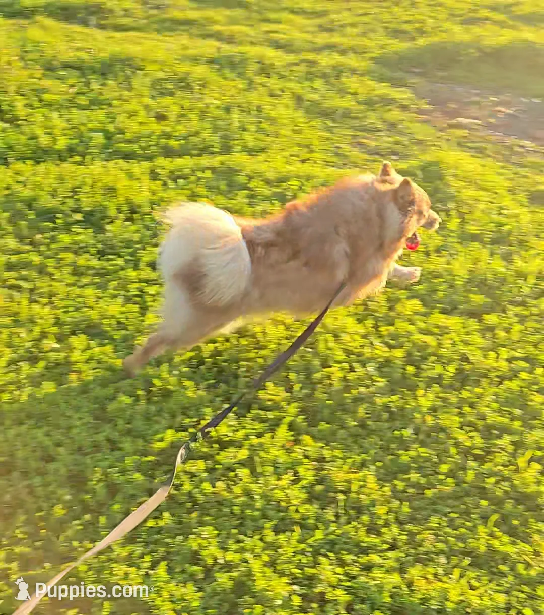 processed/24dd2470-7bd7-498a-abac-3c2dc0f10f39/listing/cdeb88db-4b57-41bb-9dfe-a6dbde6a8b43/a1d440f6-3853-466d-9588-83194072353d