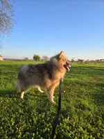 processed/24dd2470-7bd7-498a-abac-3c2dc0f10f39/listing/cdeb88db-4b57-41bb-9dfe-a6dbde6a8b43/a9191278-3379-45df-9391-7daf862e4c01