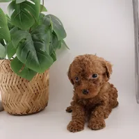 processed/24decea9-f5be-442a-b401-d79a1c61e386/listing/2796ea4f-671e-45ad-8a7e-9eda8962801c/64d5ed22-7235-47e4-85ba-cca408dc2630