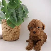 processed/24decea9-f5be-442a-b401-d79a1c61e386/listing/2796ea4f-671e-45ad-8a7e-9eda8962801c/c6e1692b-a301-4814-9dc5-296aad7b4cc0