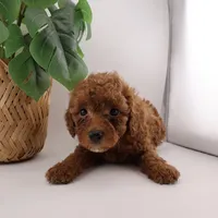 processed/24decea9-f5be-442a-b401-d79a1c61e386/listing/fd3f4785-ffb9-4b41-ba30-94351097250a/31d6c44f-59ec-497a-b3ed-e1e0f412d863