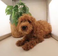 processed/24decea9-f5be-442a-b401-d79a1c61e386/listing/fd3f4785-ffb9-4b41-ba30-94351097250a/602f3ef2-9dd7-43ea-aadb-52bcb6bfcca2